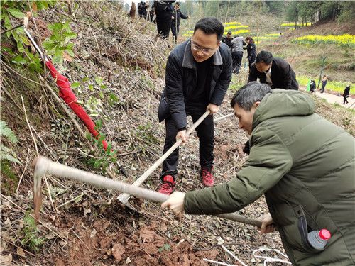 背簍人家植樹節(jié)